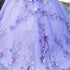 Enchanting Floral Details Quinceañera Ball Gown for Women, Sizes 4/XS-16/3X